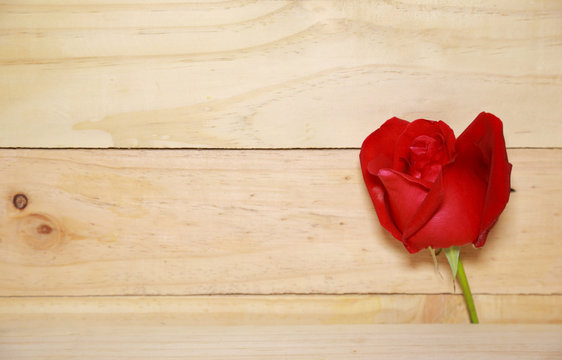 Design ฺBeautiful red roses on old aged wood background. valen