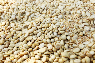 raw coffee beans for pattern and background