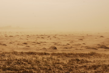 Paisajes de la pampa humeda, campos, argentina