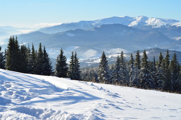 Fototapeta na wymiar Panoramic view from the Carpathians mount