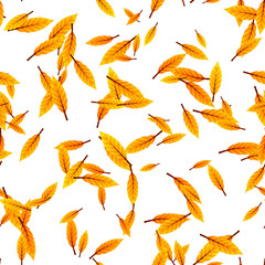 Fototapeta premium Continuous pattern with bright leaves