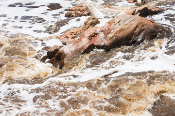 Wild white flooded river  running rough around boulders