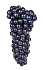 Grape isolated on the white background
