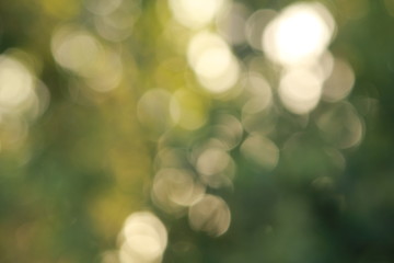 green blurred background