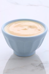 Obraz na płótnie Canvas plain french style yogurt