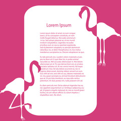 Business template -  pink flamingo   - vector illustration 
