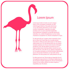 Business template -  pink flamingo   - vector illutration 

