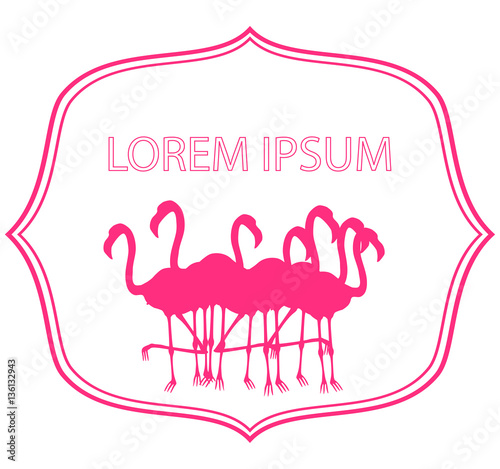 Business Template Pink Flamingo Vector Ilration Stock Business Template Pink Flamingo Vector Ilration