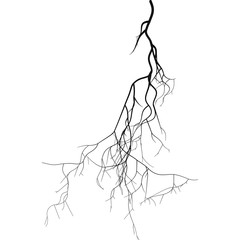 Black root system  