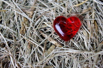 Red Glass Heart 