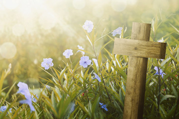 Wooden cross and purple flower with sunlight