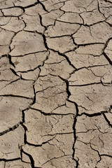 arid land.