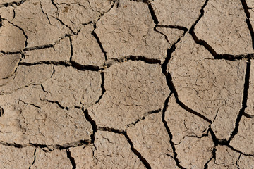 arid land.