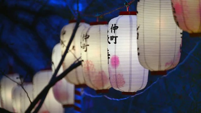 Lanterns in Sakura Festival , Tokyo, Japan. 