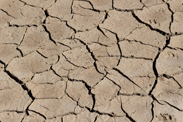 arid land.