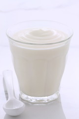 Vintage retro styling yogurt