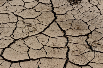 arid land.