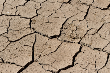 arid land.