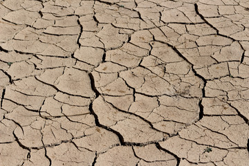 arid land.
