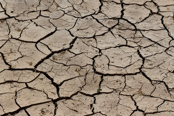 arid land.