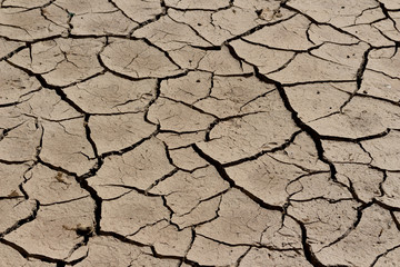 arid land.