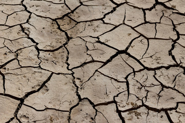 arid land.