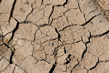 arid land.