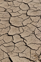 arid land.