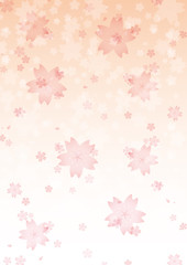 桜　背景のイメージイラスト