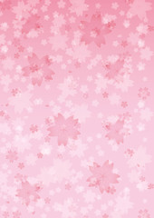 桜　背景のイメージイラスト
