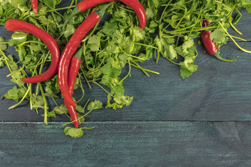 Red hot chili peppers and cilantro leaves with copyspace