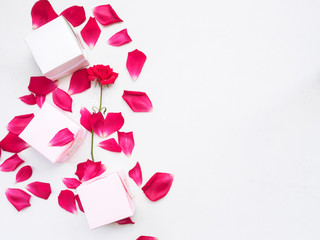 Top view of gift box and red petals flower on white background, Flat lay and copy space