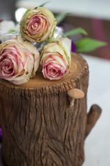 Beautiful flowers decoration on the tree stump.