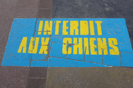 Interdit aux chiens, inscription sur le sol bleue et jaune.