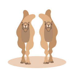 camel vector illustration style Flat