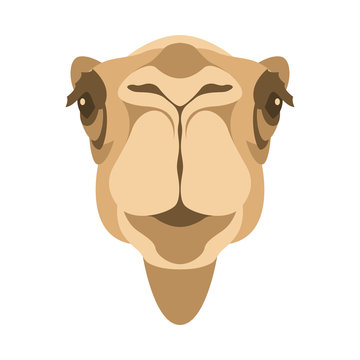 camel head face  vector illustration style Flat