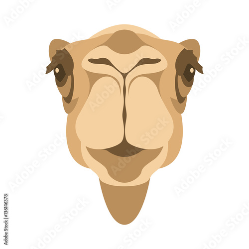 "camel head face vector illustration style Flat" Stock image and