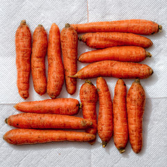 Fresh carrots laid out in the form of the flag