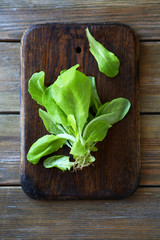 Fresh green salad leaves on rustic board