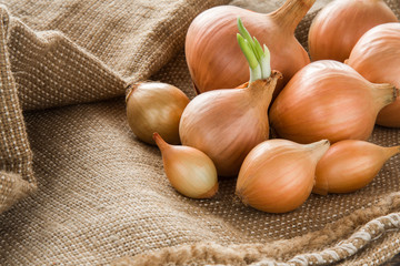 White onions in the burlap bag on the wooden table. Healthy eating and lifestyle.