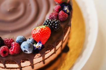 chocolate and berry cake