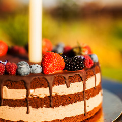 chocolate and berry cake