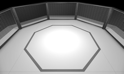 3D Rendered Illustration of an MMA, mixed martial arts, fighting cage arena.