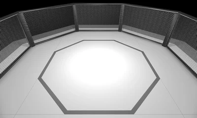 Photo sur Plexiglas Arts martiaux Illustration de rendu 3D d& 39 un MMA, d& 39 arts martiaux mixtes, d& 39 une arène de combat.