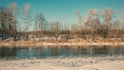 freezing river and forest on a sunny day