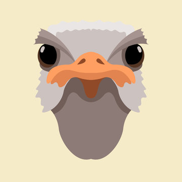 ostrich head  vector illustration style Flat