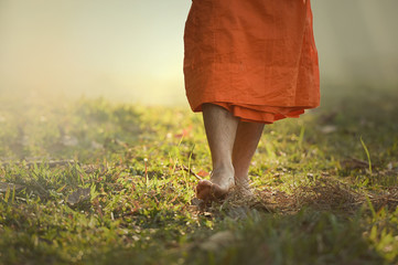 Buddhist monks walk on the grass