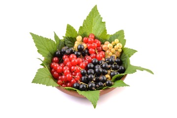 Fresh currant. Red, white and black berries on plate.