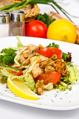 Salmon salad and mussels on a white plate with vegetables