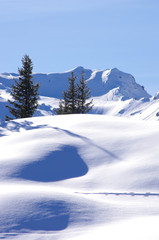 Fototapeta na wymiar paysage alpin - massif du beaufortain